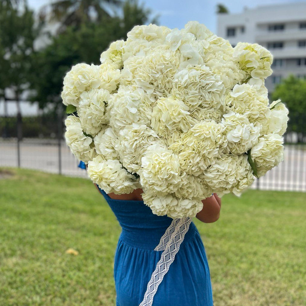 Huge white hydrangea bouquet – hand-tied luxury delivery in white elegance