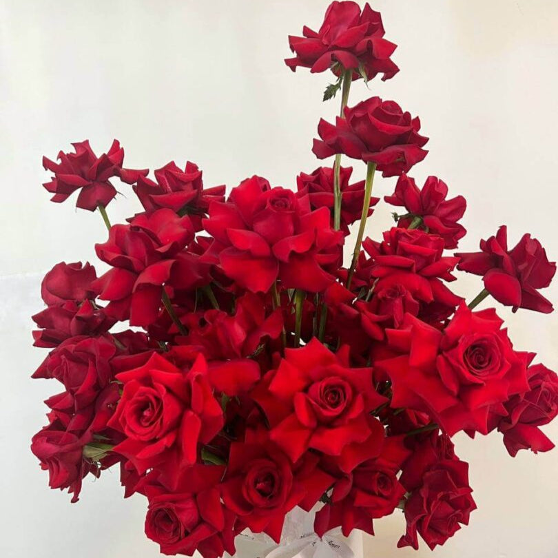 Passionate Love bouquet of red roses in a white designer box held â luxury gift in Miami