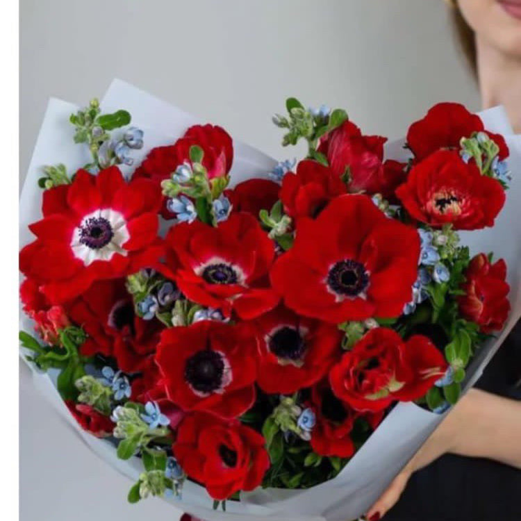 Red anemones in hand-tied bouquet with white wrap and blue florals — luxury flower delivery Miami