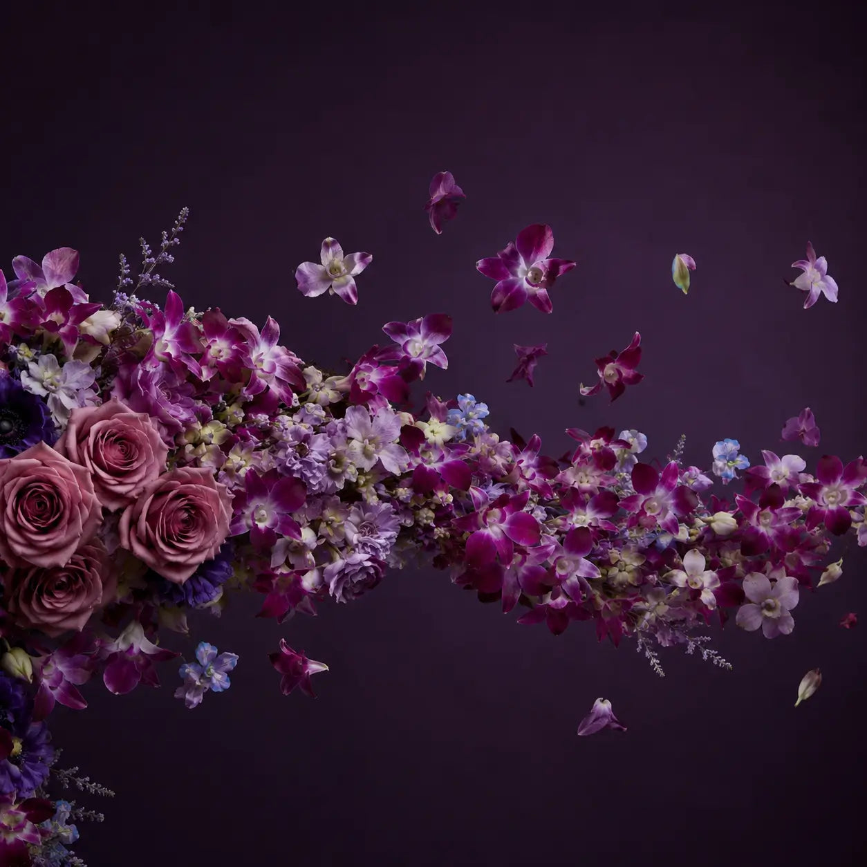 Floating purple orchids and roses creating an artistic floral composition from the Silent Scream Floral Is Art™ collection.